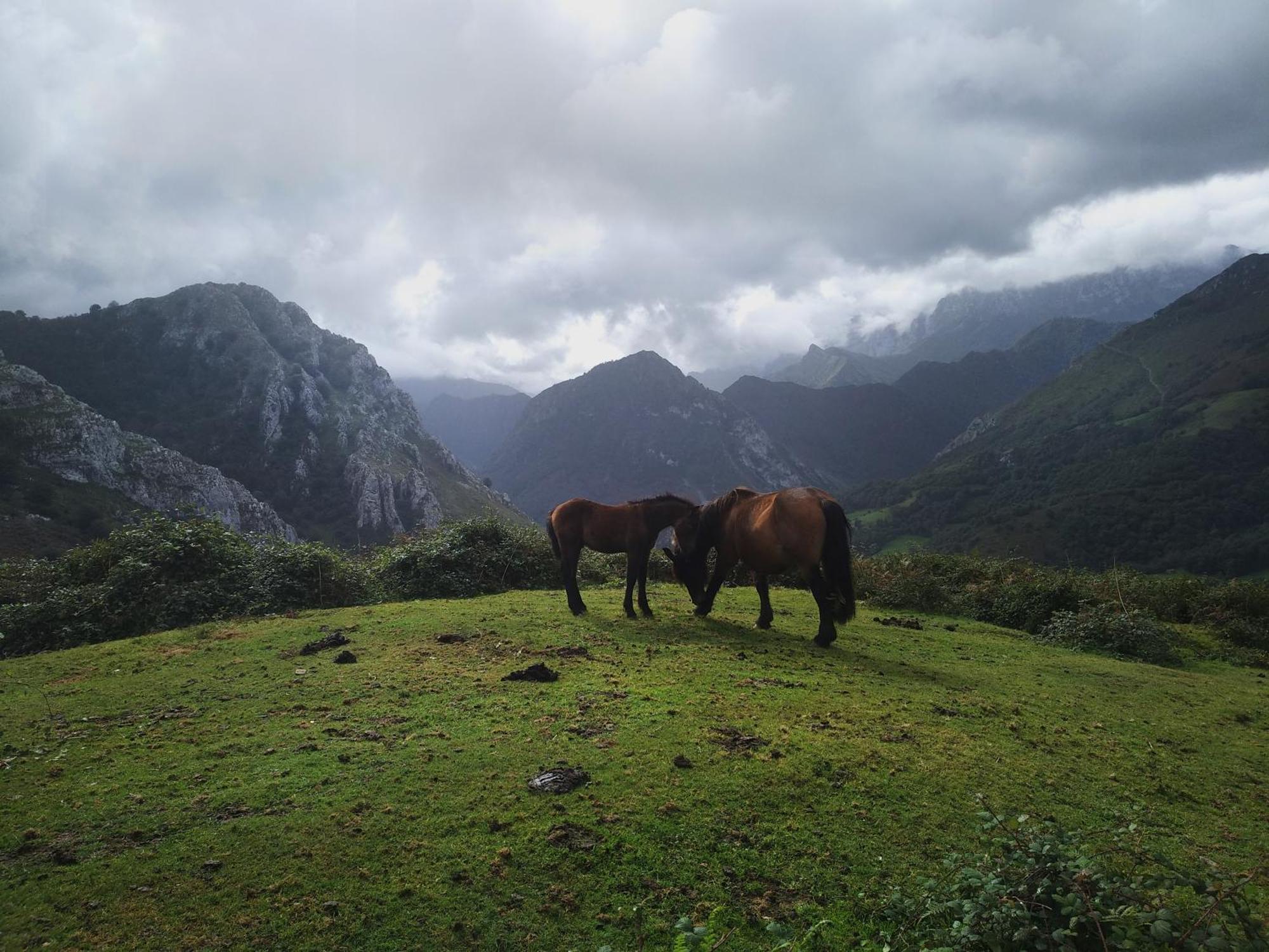 Belenos Alojamientos Turisticos 님브로 외부 사진